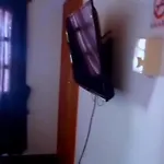 Confort Compartida Ctg x3